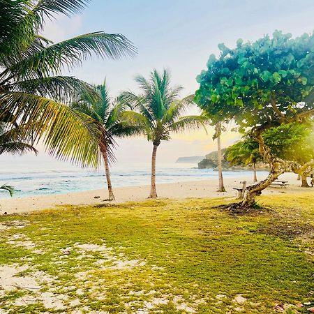 فيلا Cocon Des Iles Anse-Bertrand المظهر الخارجي الصورة