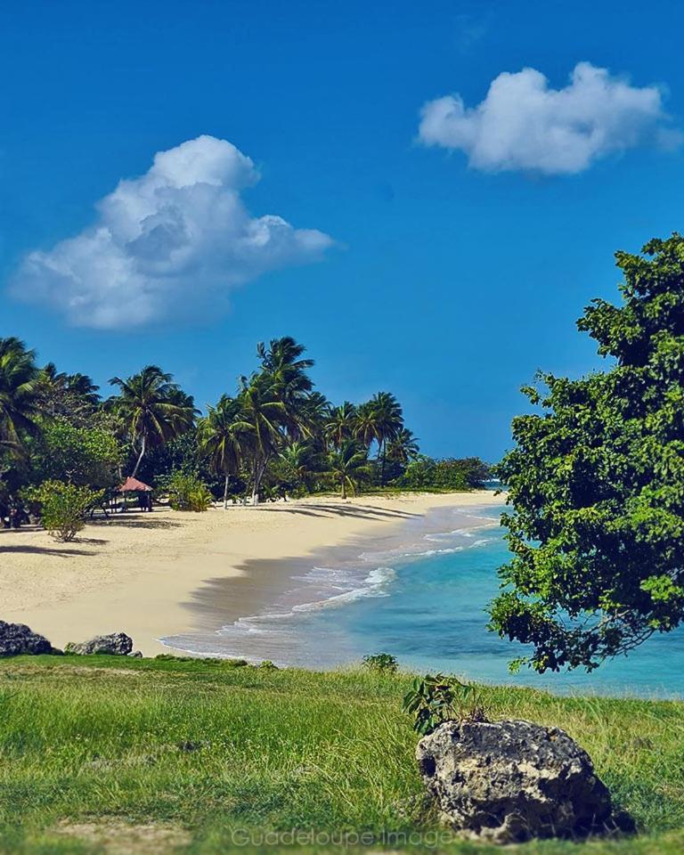 فيلا Cocon Des Iles Anse-Bertrand المظهر الخارجي الصورة